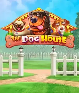 From Pragmatic Play comes The Dog House Slot, featuring a delightful experience through charming canines. Enjoy features including multipliers, aimed at providing exciting wins. Ideal for those who enjoy a cheerful theme and the opportunity to win big.